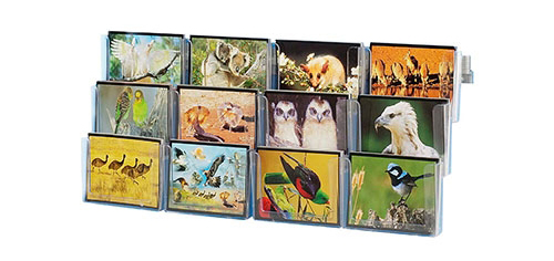 Popup Display Wall , Wall Display - Standard Pop Up Display 