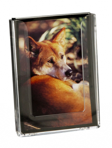 Popup Display Wall , Wall Display - Standard Pop Up Display 
