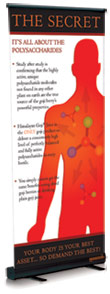 Rollup Banners Stands, Pullup Banner, Retractable Banner